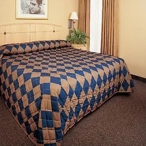 3* Hotel Elvis Presley's Heartbreak